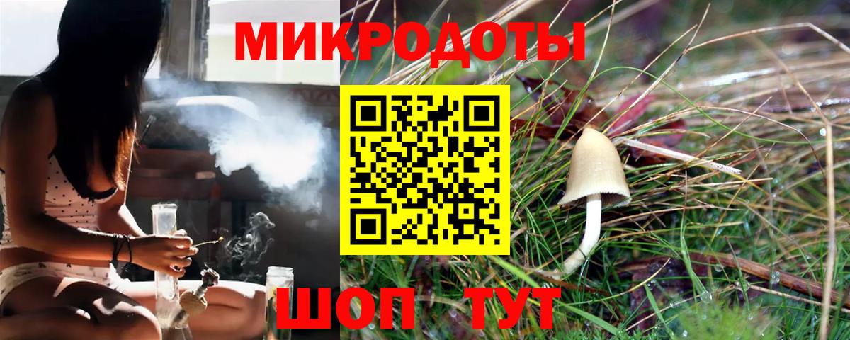 Псилоцибиновые грибы Psilocybe  Вход с VPN  Кумертау 