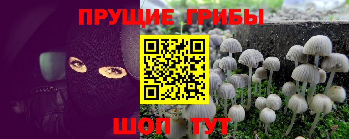 Псилоцибиновые грибы MAGIC MUSHROOMS Кумертау